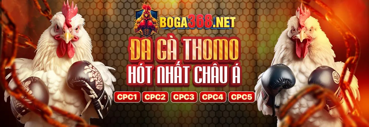 Giao diện cá cược thể thao trực tuyến tại 84vn